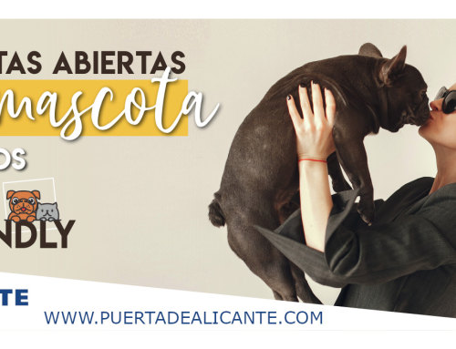 Somos Pet Friendly