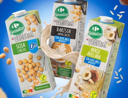 Descubre las bebidas vegetales