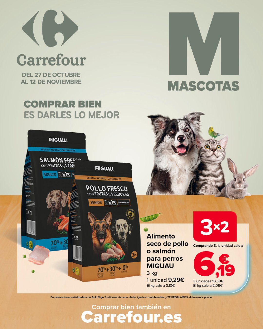 Mascotas: comprar bien es darles lo mejor